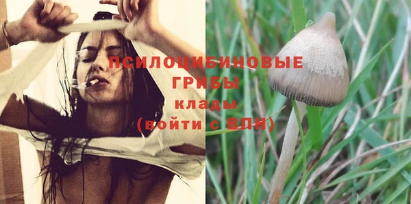 ешки Абдулино